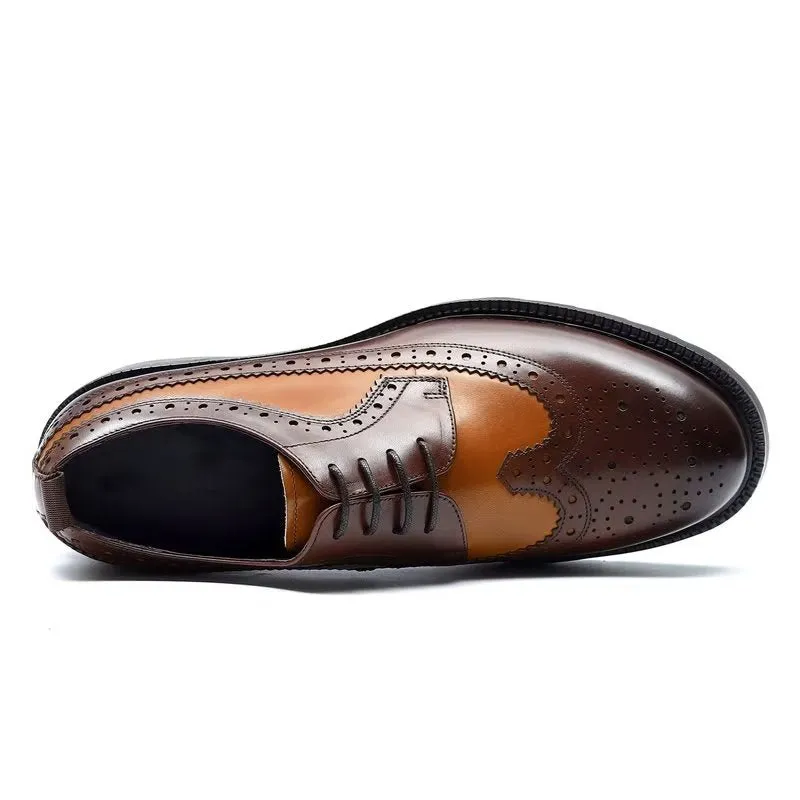 Aurelique LustraLux Grandiose Brogues