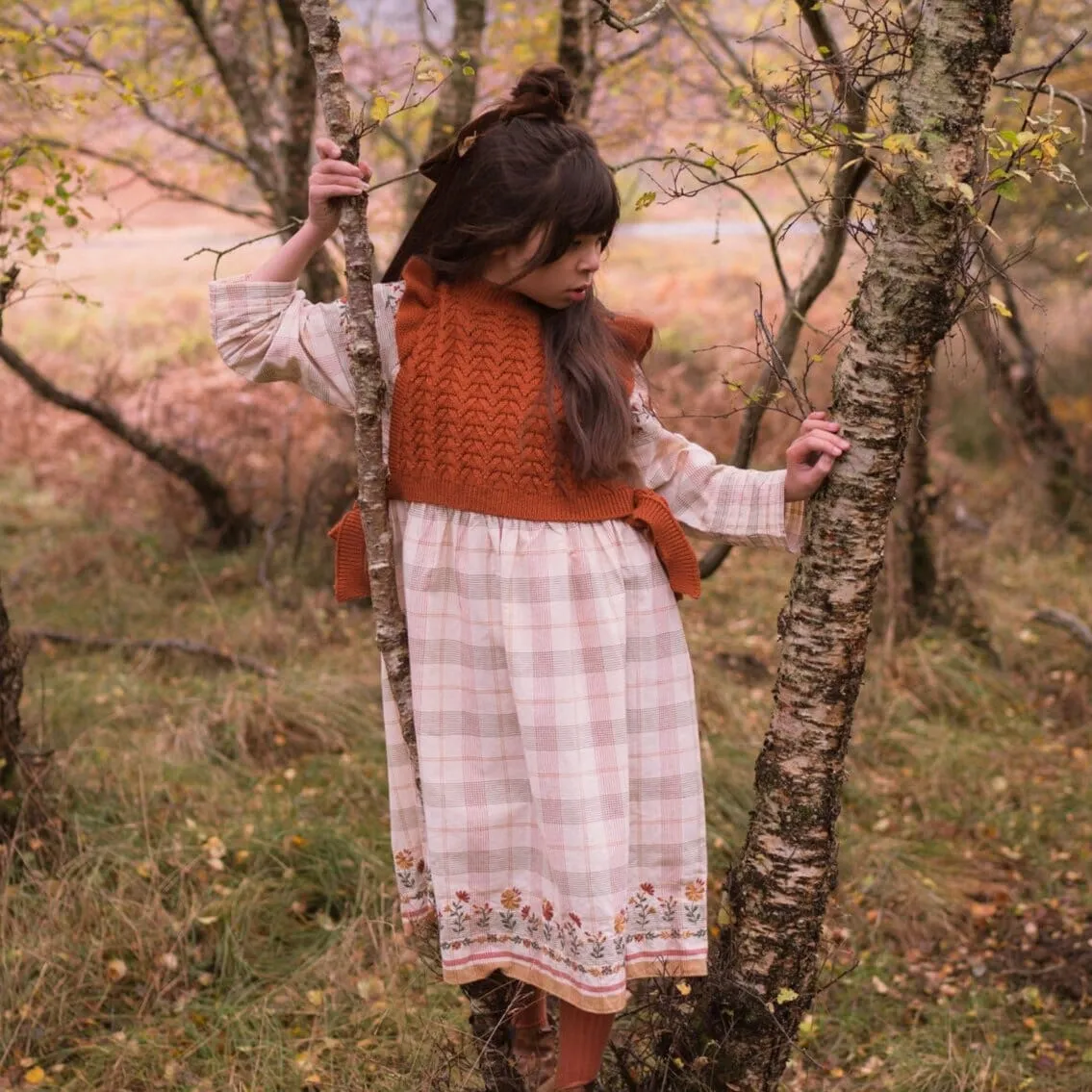 Ava Dress | Harvest Plaid w/Embroidery